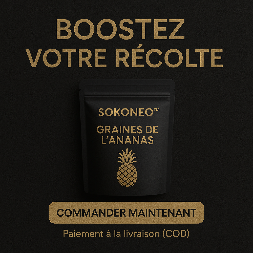 Graines de L’ananas