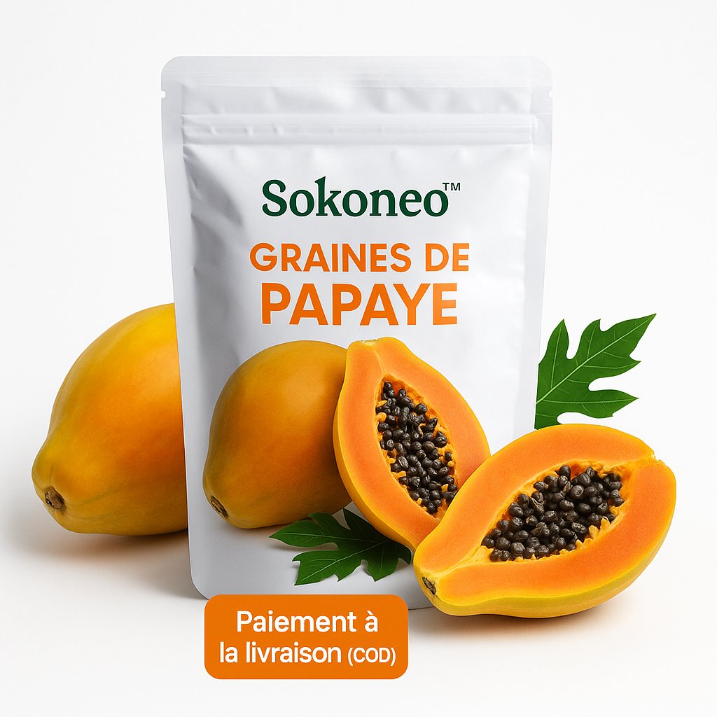 Graines de Papaye