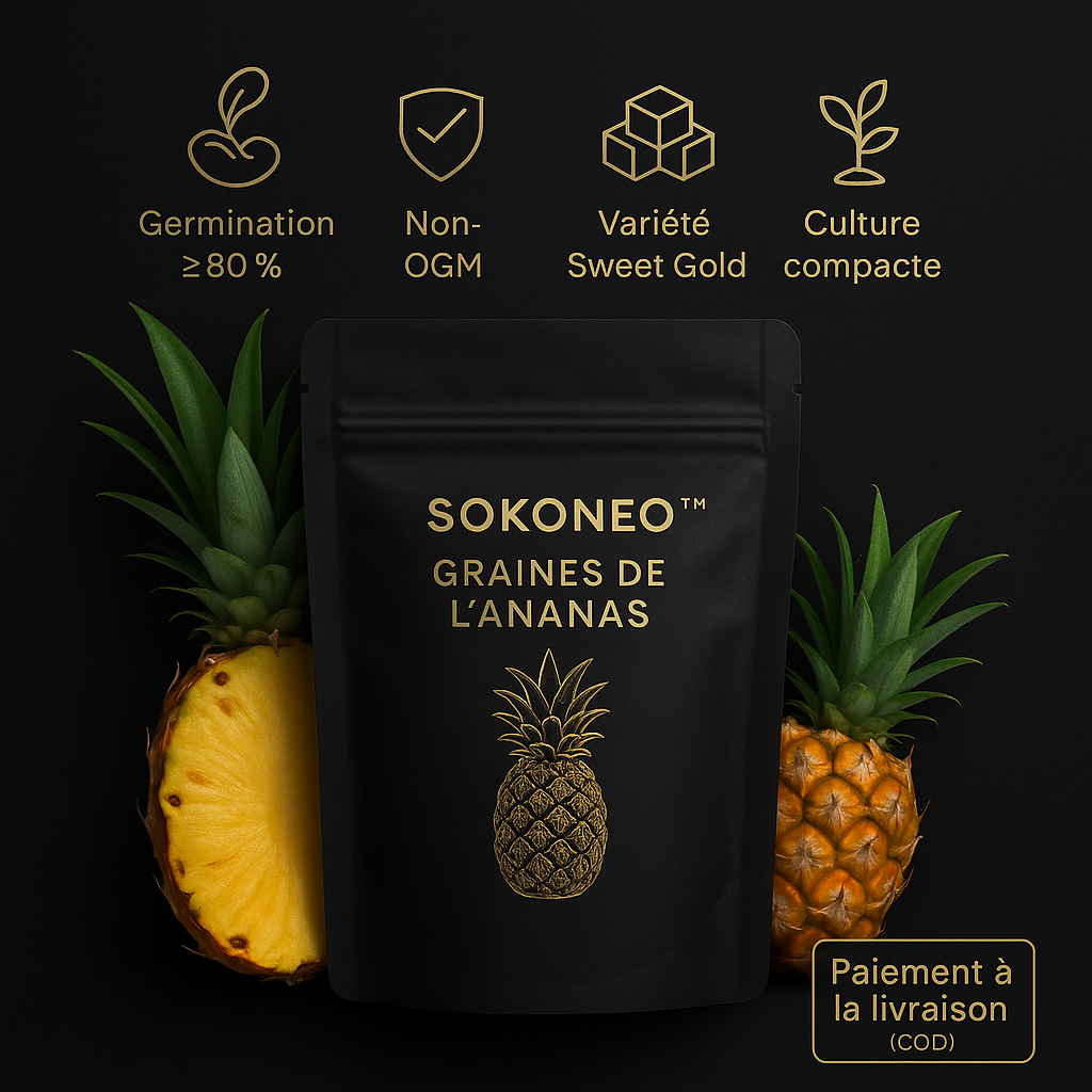 Graines de L’ananas