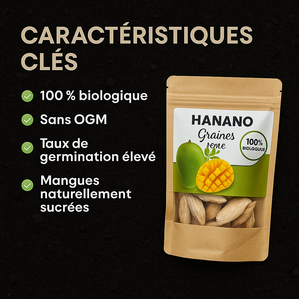 Graines de Mangue