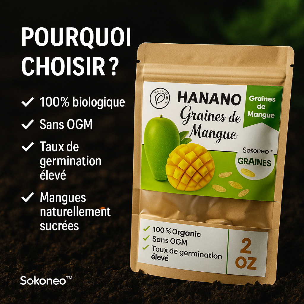 Graines de Mangue