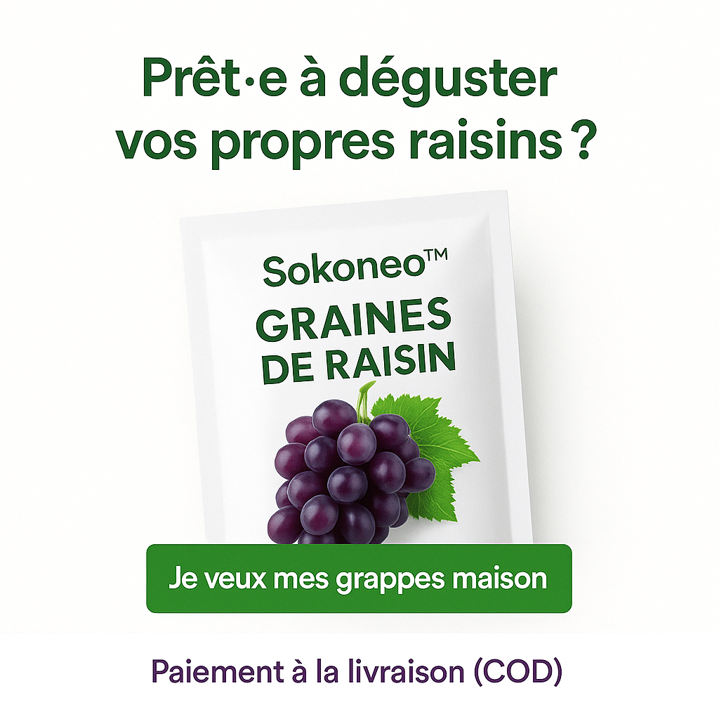 Graines de Raisin