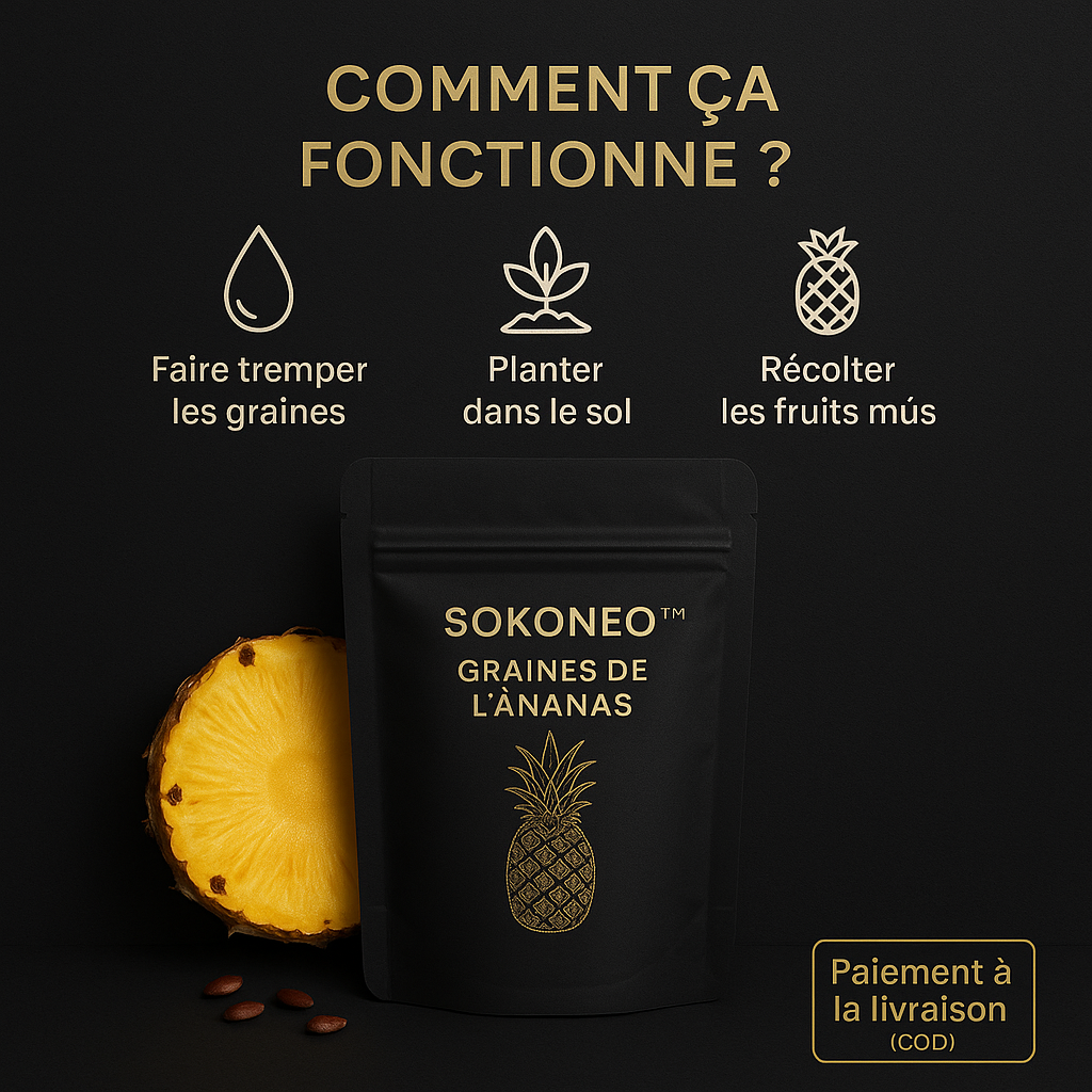 Graines de L’ananas