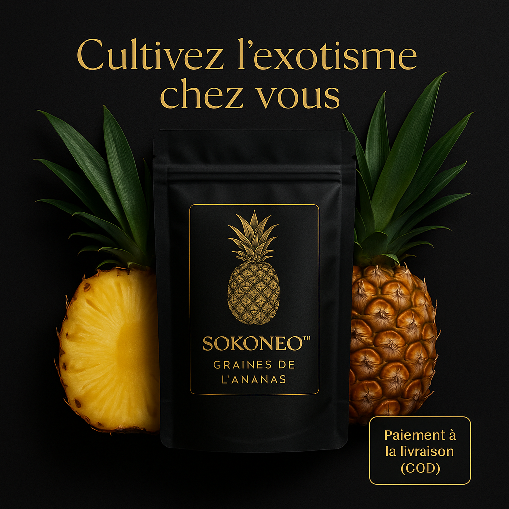 Graines de L’ananas