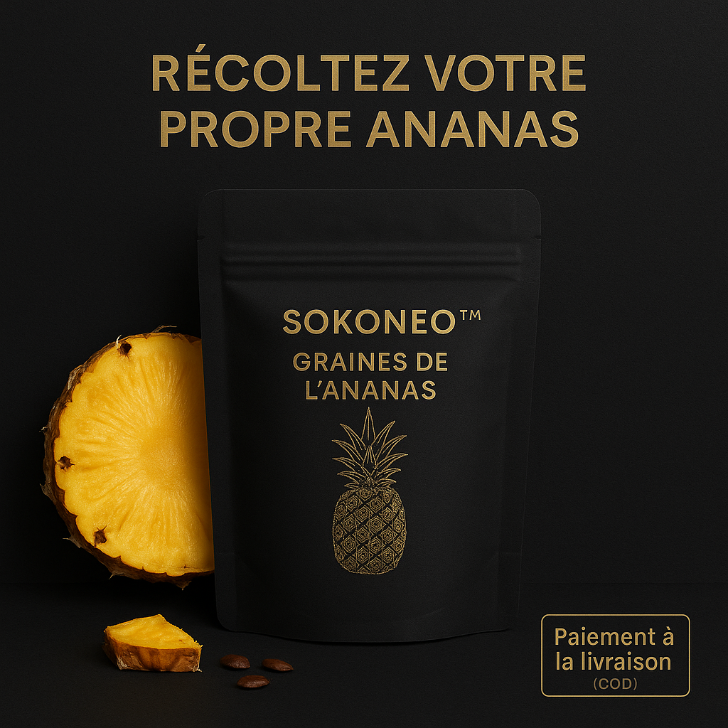 Graines de L’ananas