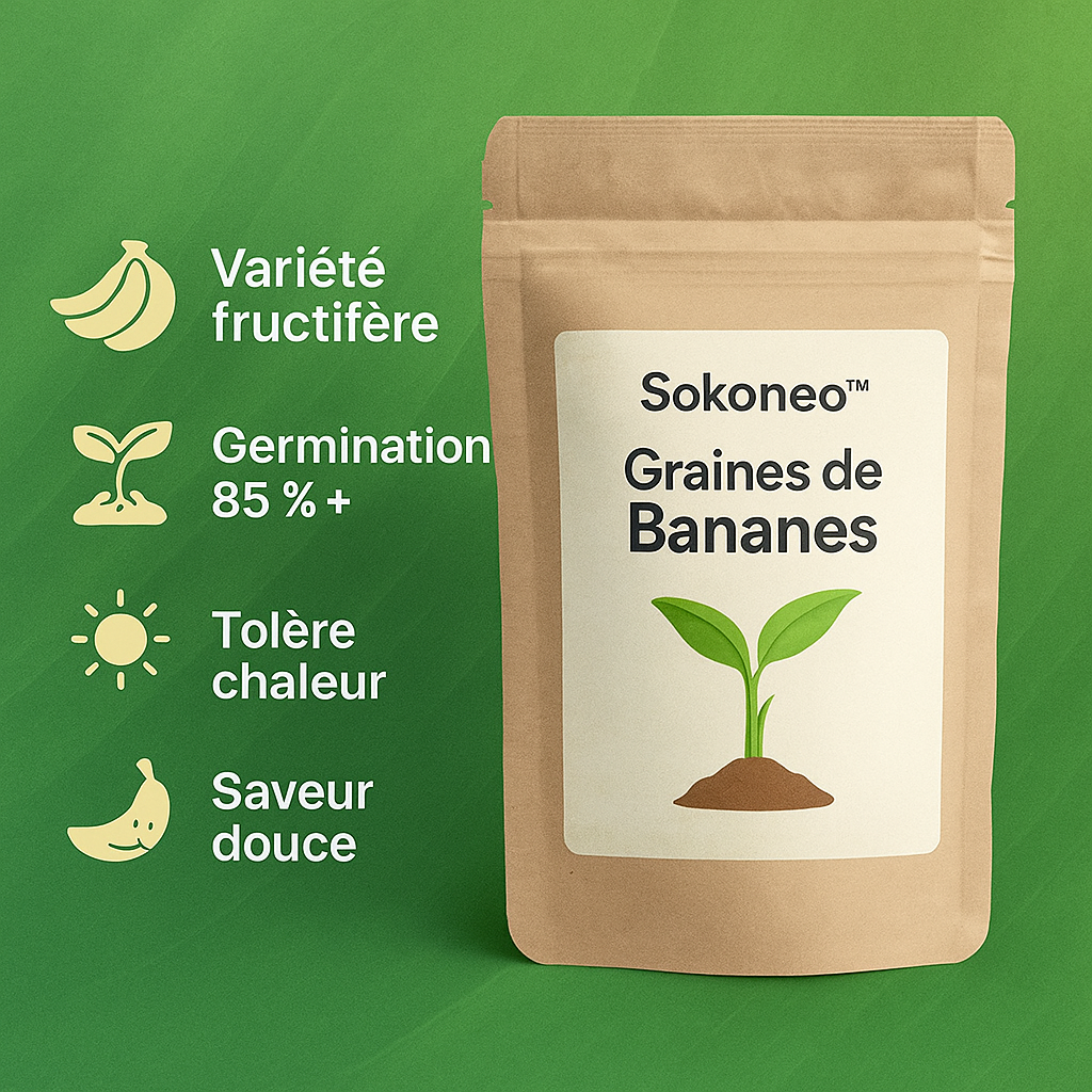Graines de Bananes