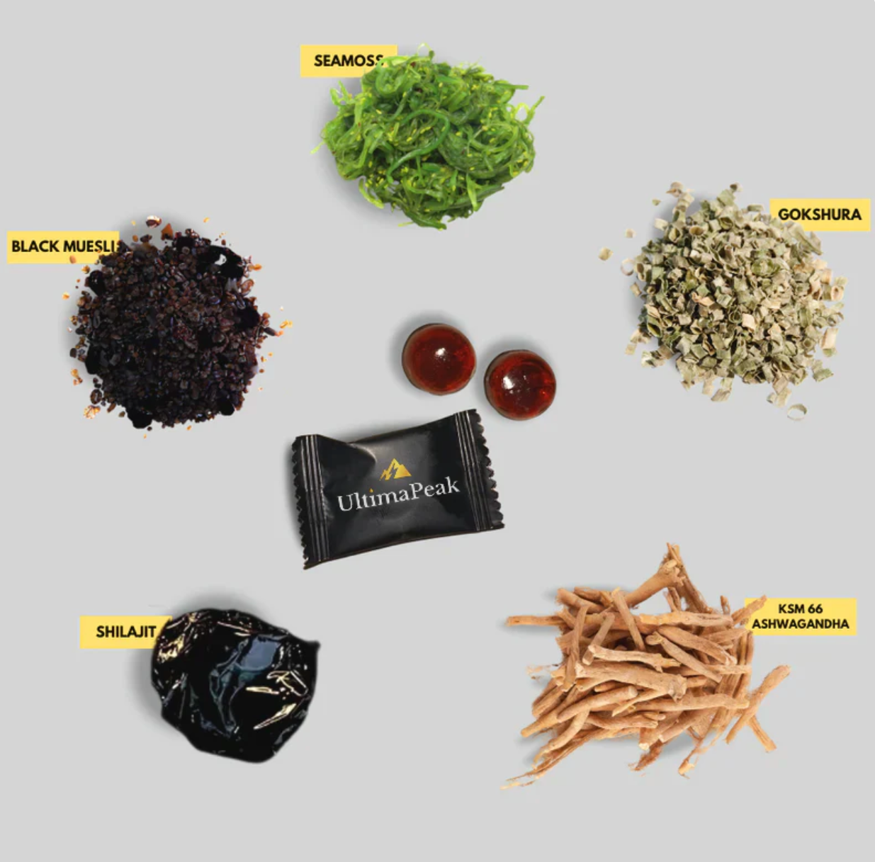 Pure Shilajit Gummies (60 gommes)_BK