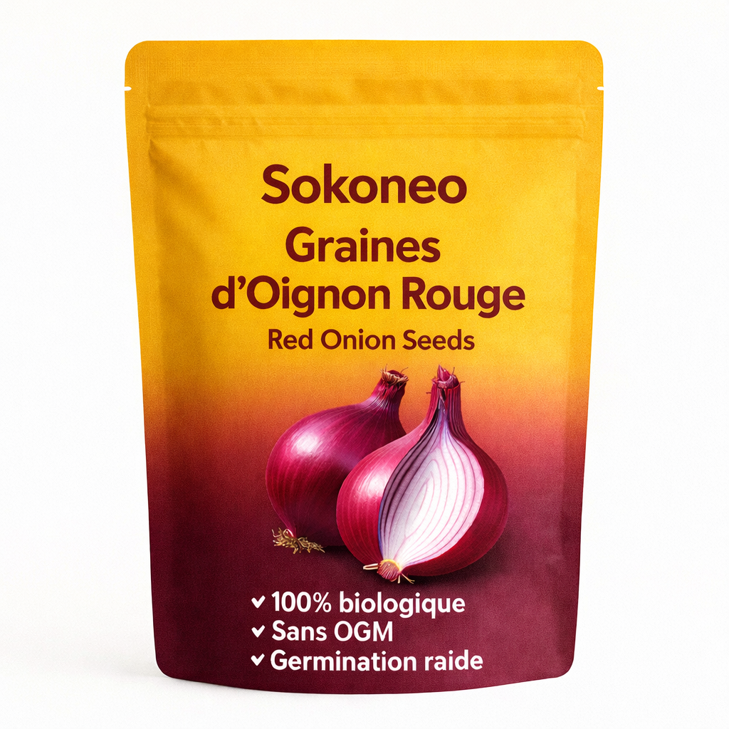 Graines d’Oignon Rouge
