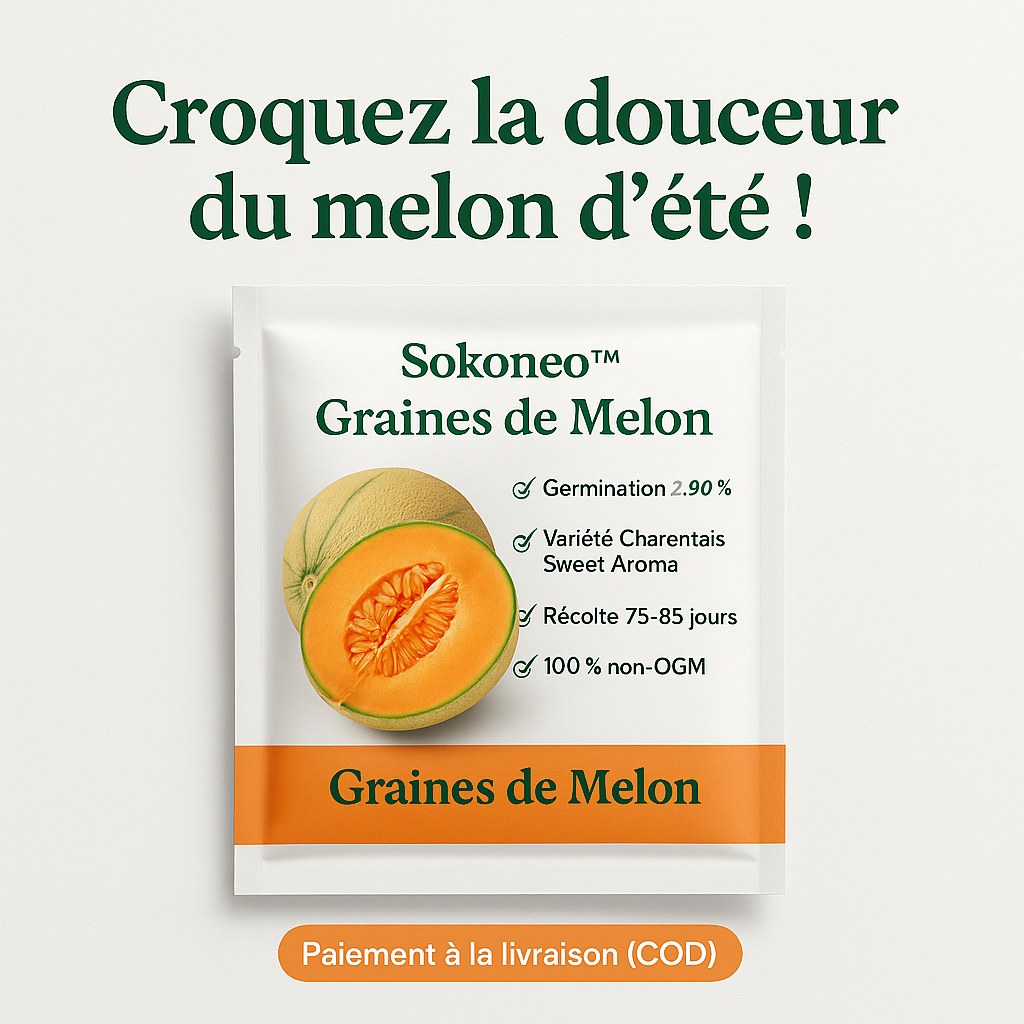 Graines de Melon
