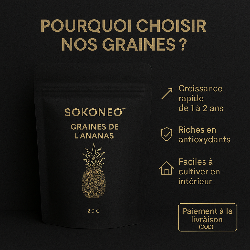 Graines de L’ananas