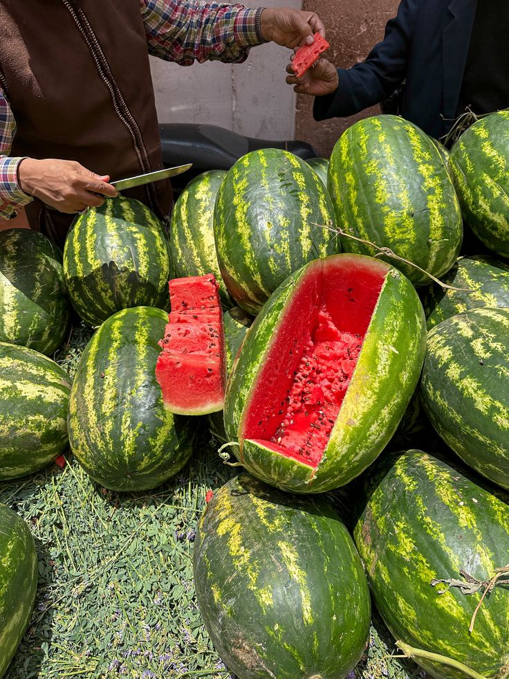 Graines de Pastèque