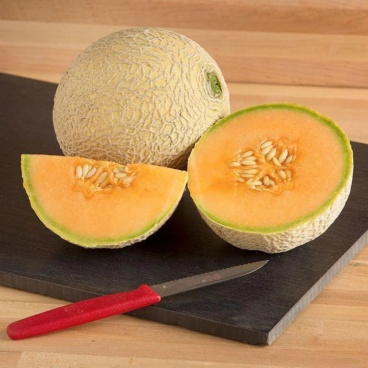 Graines de Melon