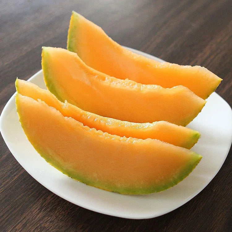 Graines de Melon
