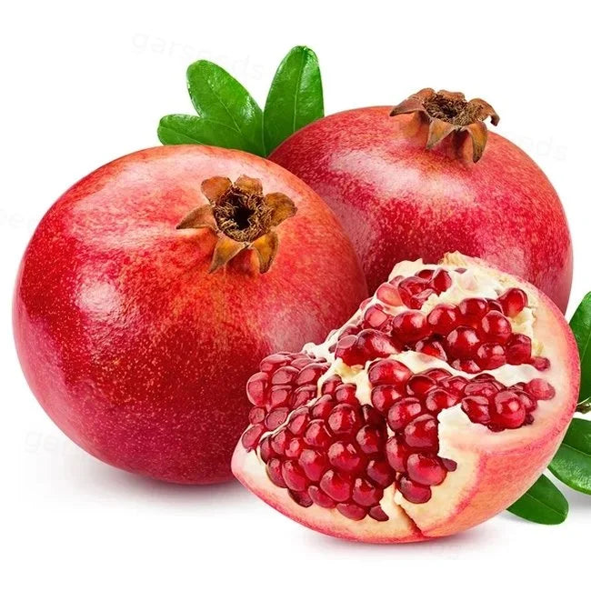 Graines de Grenade